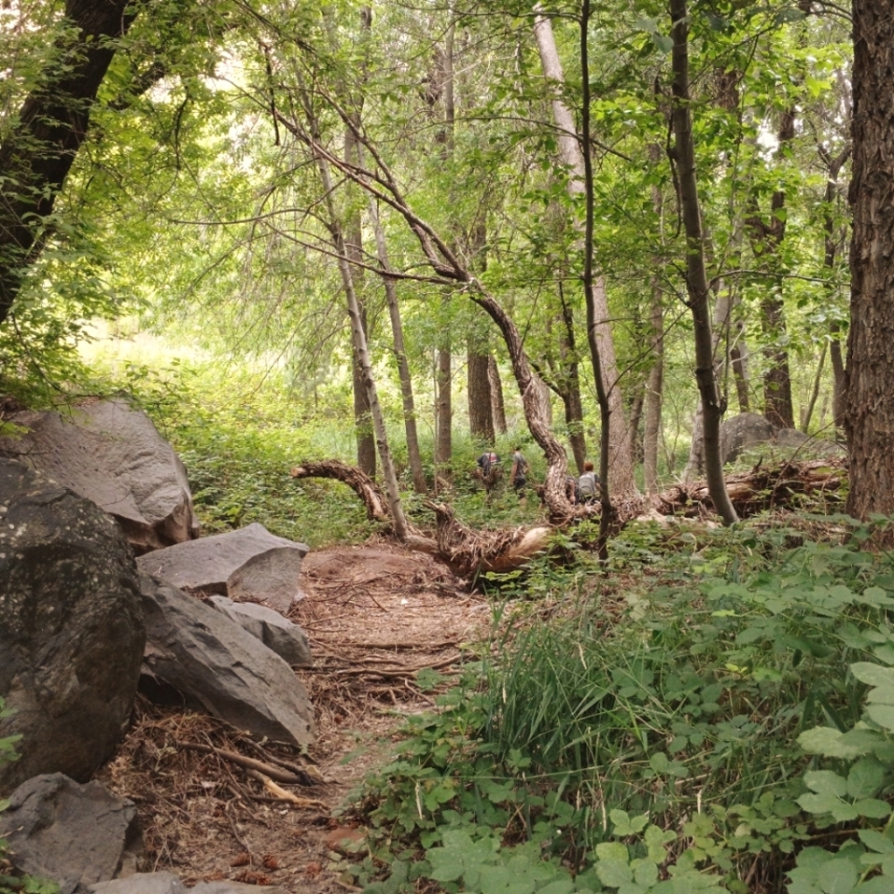 Meet your Posher, April